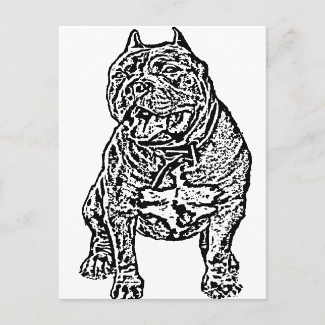 Carte Postale Chien de taureau américain (Devant)