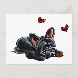 Carte Postale Chien de taureau français noir Ladybug