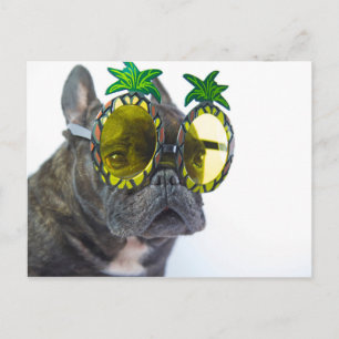 Carte Postale Chien de taureau français sur la plage