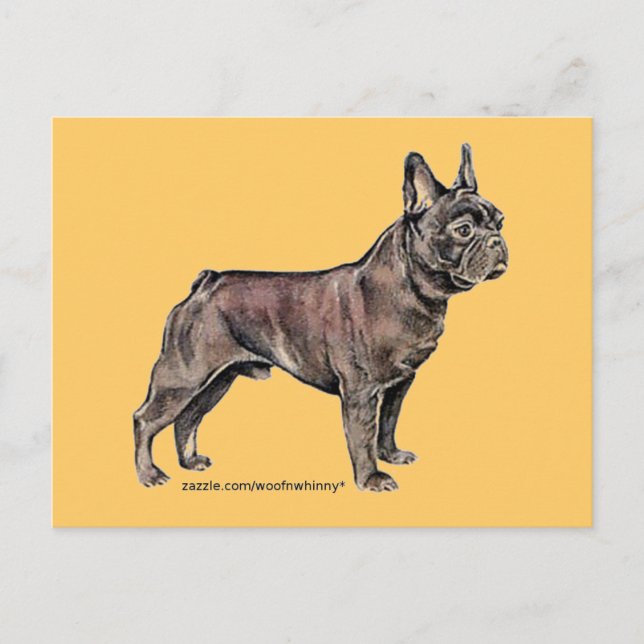 Carte Postale Chien de taureaux français ! (Devant)
