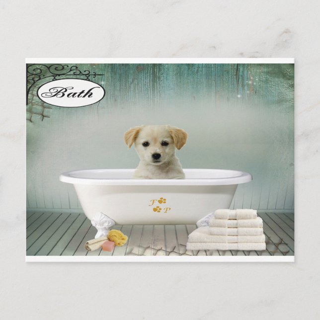 Carte Postale Chien de temps de bain (Devant)