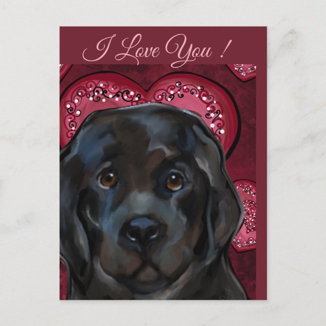 Carte Postale Chien de Terre-Neuve (Devant)