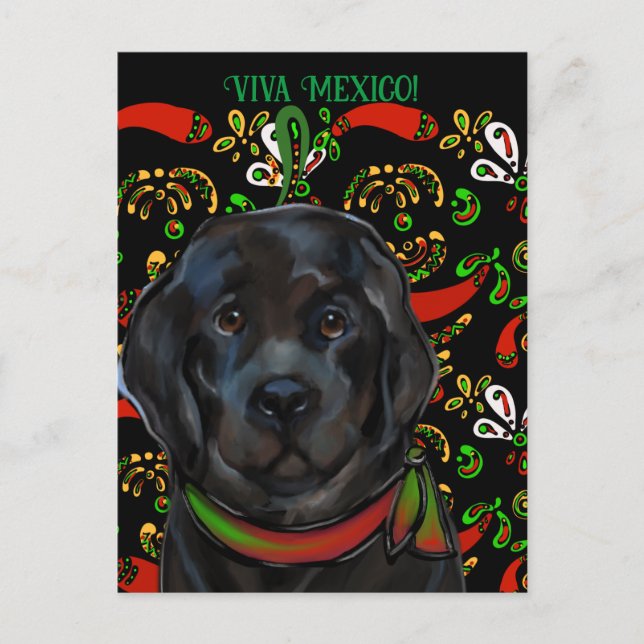 Carte Postale Chien de Terre-Neuve (Devant)