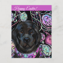 Chien de Terre-Neuve