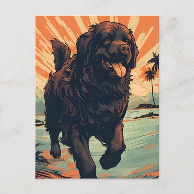 Carte Postale Chien de Terre-Neuve à la plage (Devant)