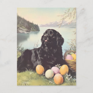 Carte Postale Chien de Terre-Neuve Vintage Pâques