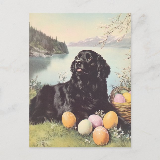 Carte Postale Chien de Terre-Neuve Vintage Pâques (Devant)