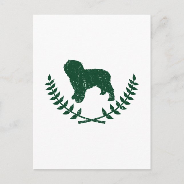 Carte Postale Chien d'eau espagnol (Devant)