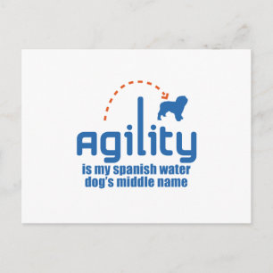 Carte Postale Chien d'eau espagnol
