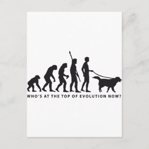 Carte Postale chien d'évolution
