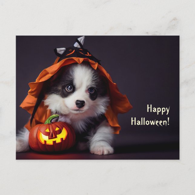 Carte Postale Chien d'Halloween. Chiot avec des citrouilles. Mig (Devant)