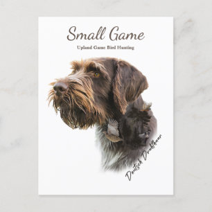 Carte Postale Chien d'oiseau, chasse d'oiseau de terrain découve