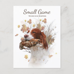 Carte Postale Chien d'oiseaux, chasse à la bécasse