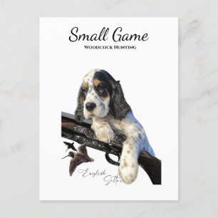 Carte Postale Chien d'oiseaux, chasse à la bécasse
