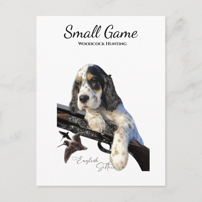 Carte Postale Chien d'oiseaux, chasse à la bécasse (Devant)