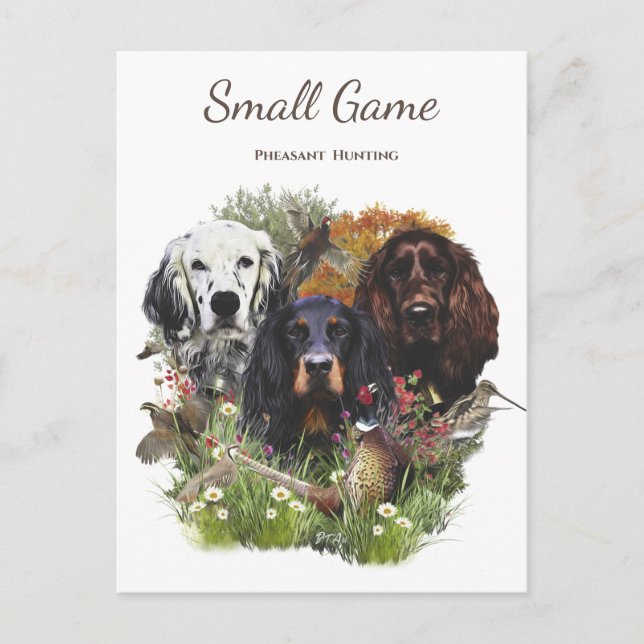 Carte Postale Chien d'oiseaux, chasse aux faisans (Devant)