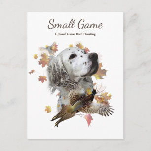 Carte Postale Chien d'oiseaux, Jeu de l'Upland Chasse aux oiseau
