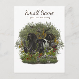 Carte Postale Chien d'oiseaux, Jeu de l'Upland Chasse aux oiseau