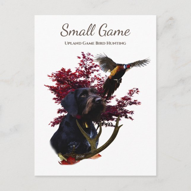 Carte Postale Chien d'oiseaux, Jeu de l'Upland Chasse aux oiseau (Devant)