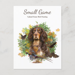 Carte Postale Chien d'oiseaux, Jeu de l'Upland Chasse aux oiseau