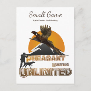 Carte Postale Chien d'oiseaux, Jeu de l'Upland Chasse aux oiseau