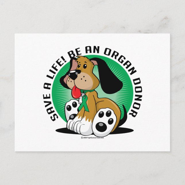 Carte Postale Chien donneur d'organes (Devant)