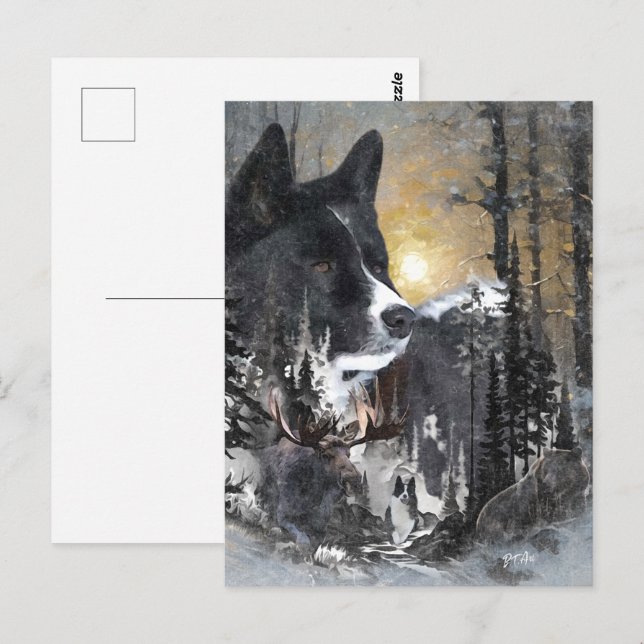 Carte Postale Chien d'ours karélien (Devant / Derrière)