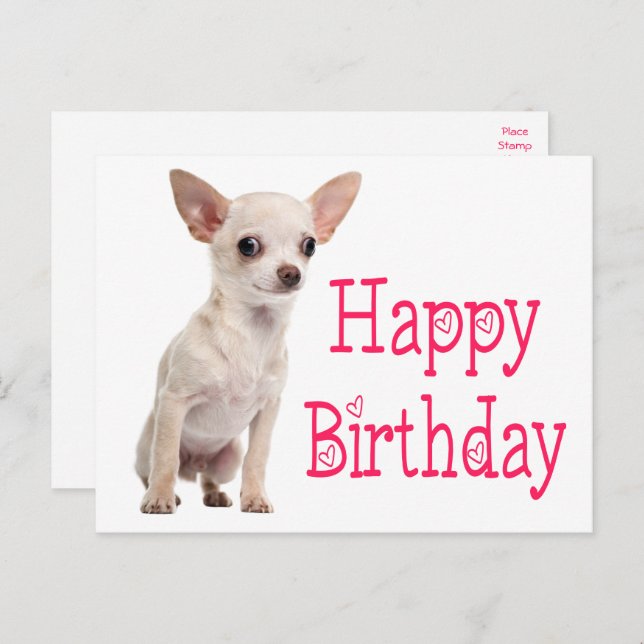 Carte Postale Chien Drôle Chiot Mignon Anniversaire Chihuahua (Devant / Derrière)