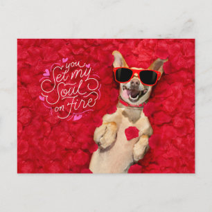 Carte Postale Chien drôle dans des pétales de rose rouge Joyeuse