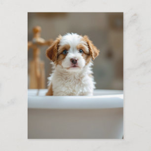 Carte Postale Chien drôle dans la salle de bain