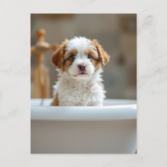 Carte Postale Chien drôle dans la salle de bain (Devant)