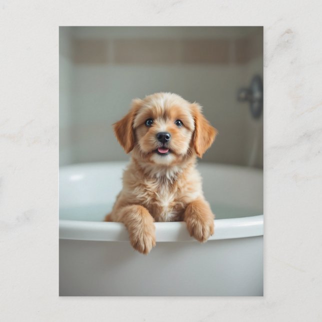 Carte Postale Chien drôle dans la salle de bain (Devant)
