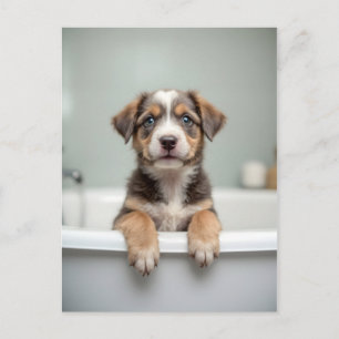 Carte Postale Chien drôle dans la salle de bain