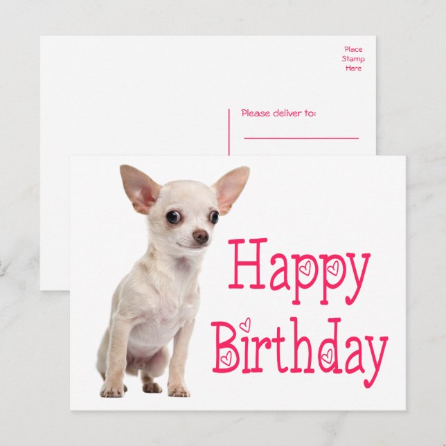 Carte Postale Chien Drôle Mignon Chihuahua Anniversaire (Devant / Derrière)