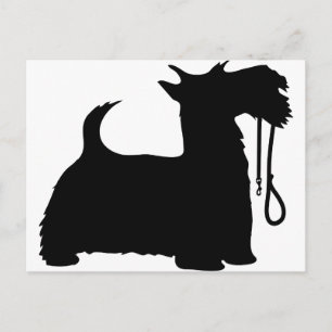 Carte Postale Chien écossais et laisse