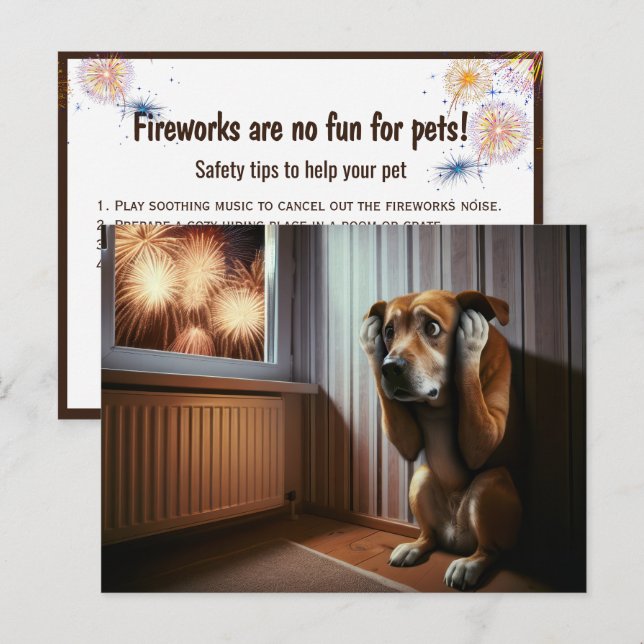 Carte Postale Chien effrayé regardant des feux d'artifice (Devant / Derrière)