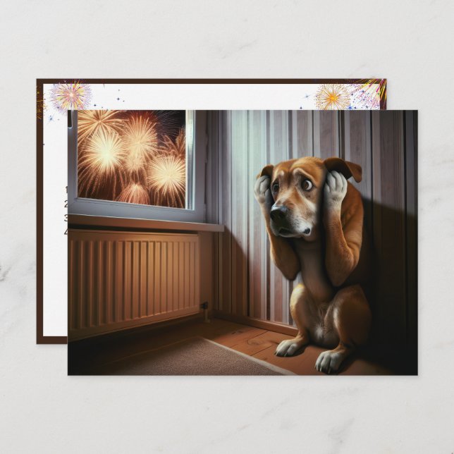 Carte Postale Chien effrayé regardant les feux d'artifice (Devant / Derrière)
