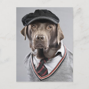 Carte Postale Chien en pull et casquette