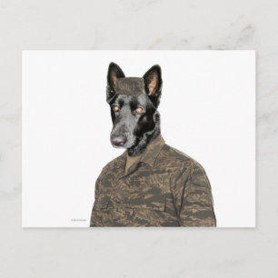 Carte Postale Chien en uniforme