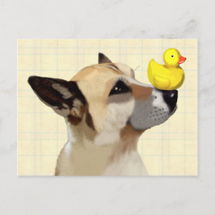 Carte Postale Chien et canard