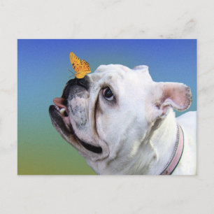 Carte Postale Chien et papillon