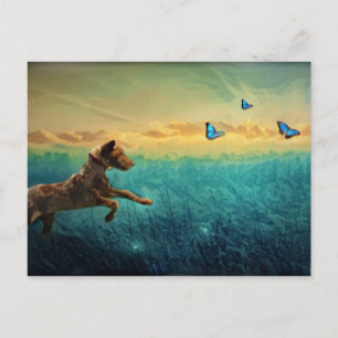 Carte Postale Chien Et Papillon