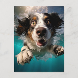 Carte Postale Chien Excité Nageant Sous L'eau Design