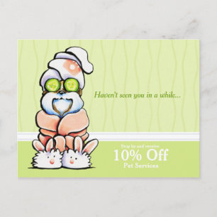 Carte Postale Chien Groomer Spa Shih Tzu Cucumber Coupon Mailer