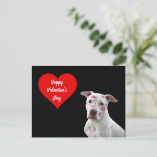 Carte postale Chien Heureuse Sainte-Valentin