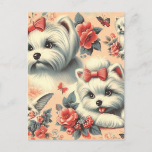 Carte Postale Chien maltais vintage
