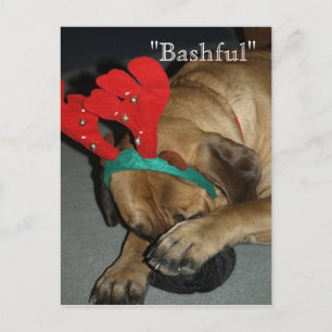 Carte Postale Chien Mastiff Anglais Bashé Avec Antlers De Rindee