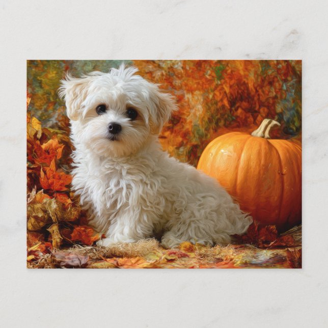 Carte Postale Chien Mignon Automne Pumpkin Feuilles D'automne De (Devant)