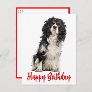Carte Postale Chien mignon Cavalier King Charles Spaniel Anniver