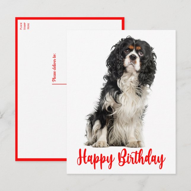 Carte Postale Chien mignon Cavalier King Charles Spaniel Anniver (Devant / Derrière)